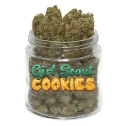 Girl Scout Cookies